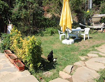 Heaven Garden Boutique Bungalow Çıralı